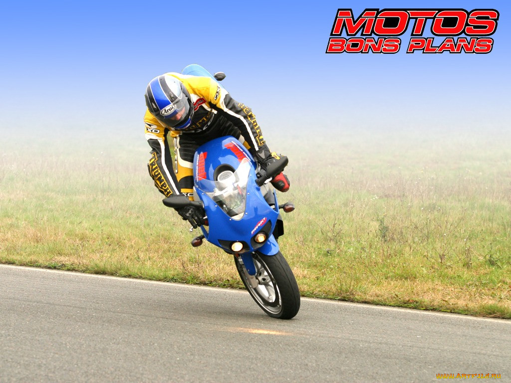, buell